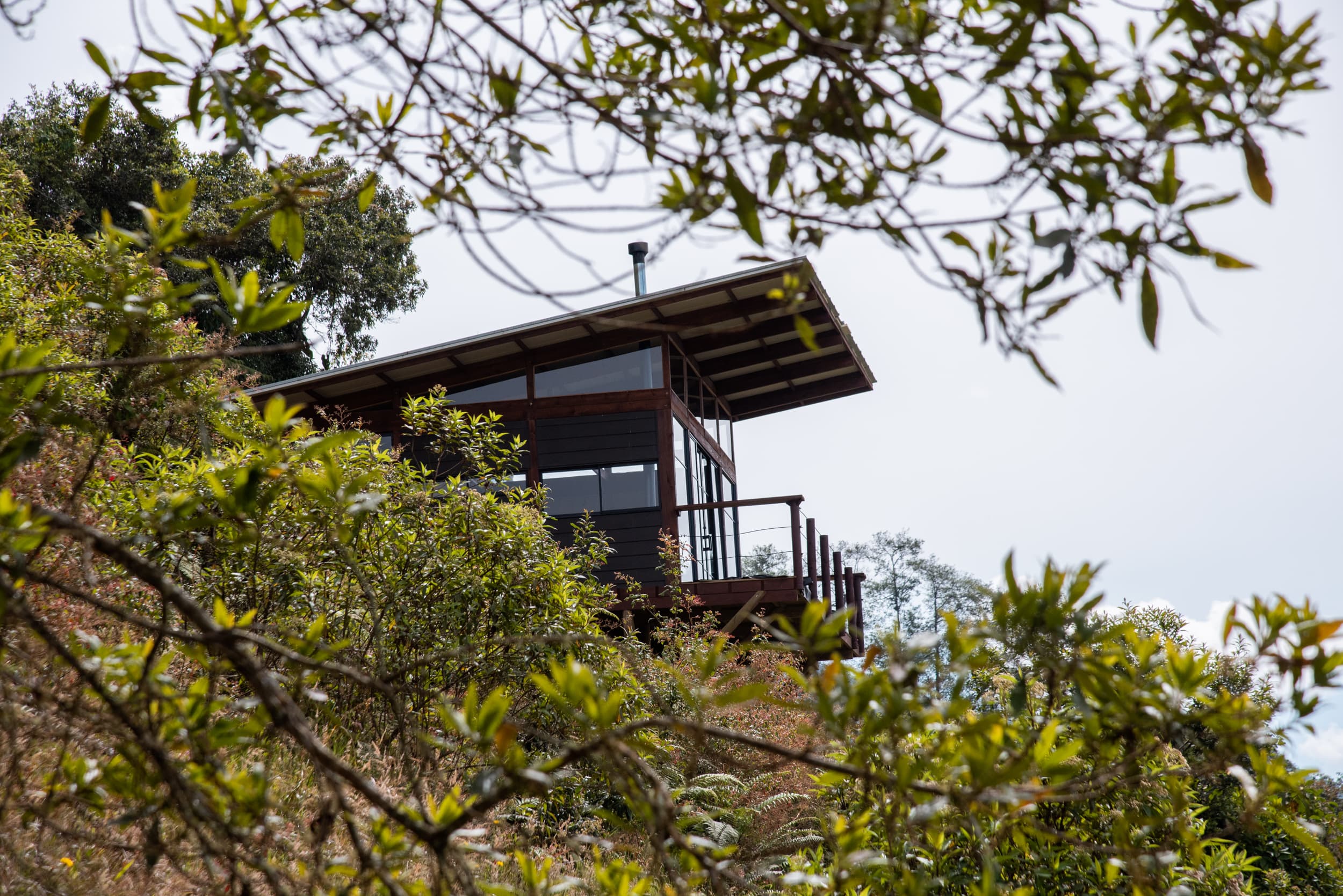 Cabin exterior through tree branches