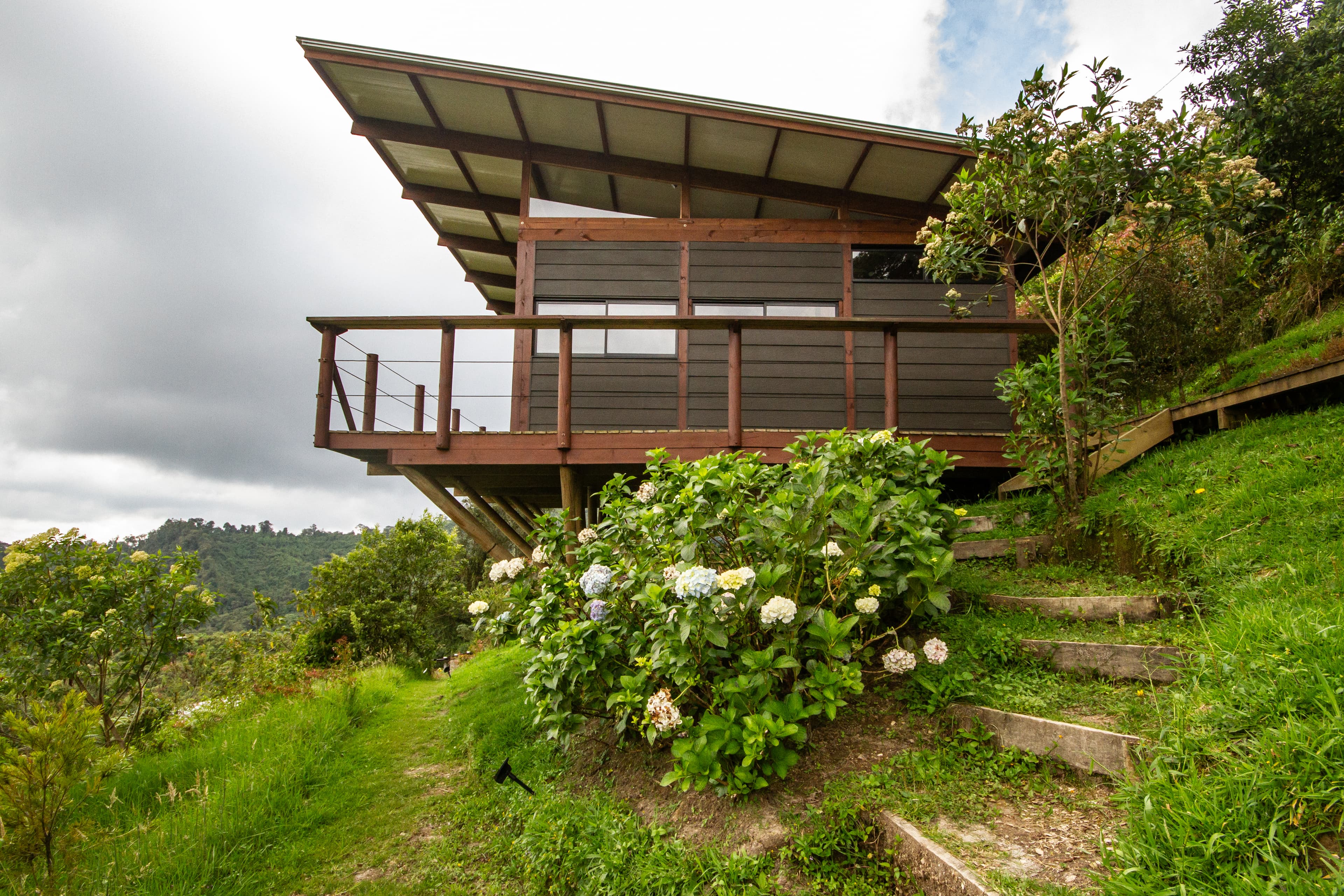 Cabin from below with hydrangeas