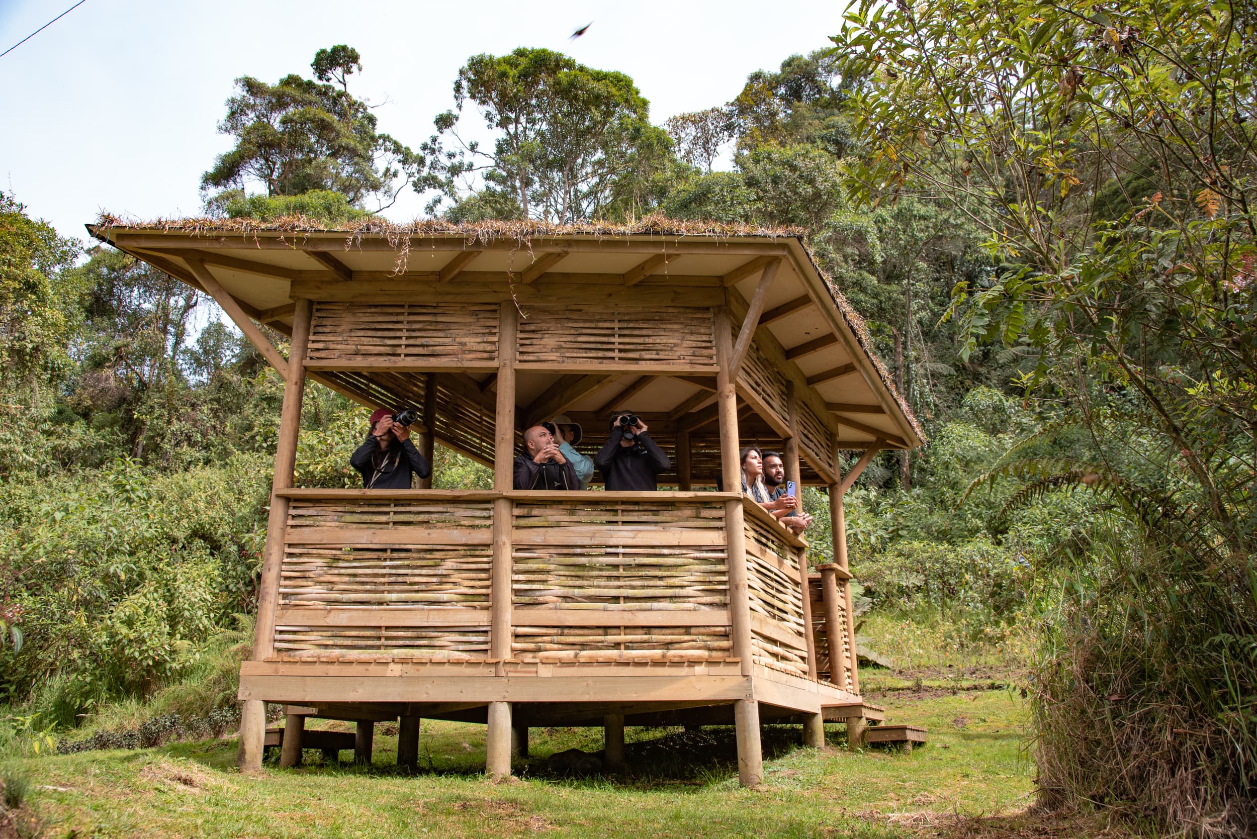 Bamboo birding platform with guests